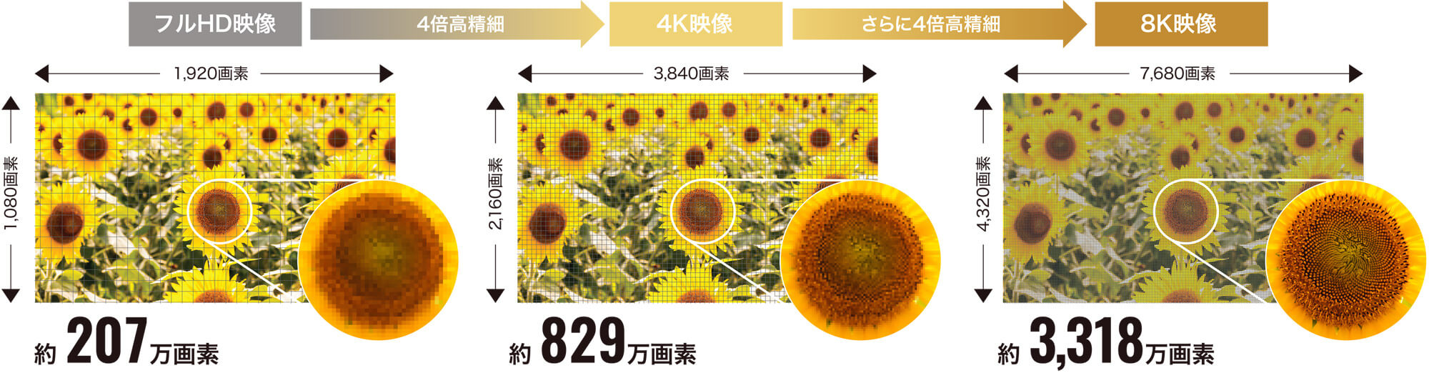 高品質でキメ細やかな映像のイメージ図